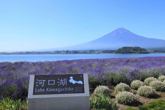 Mount Fuji Full Day Tour form Tokyo Lake Kawaguchi & Yamanaka - A one-day Mount Fuji plan from Tokyo that actually fits