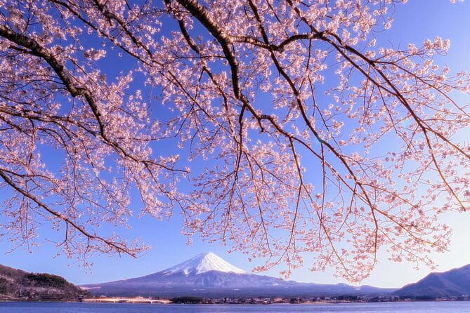 Mount Fuji Full Day Tour form Tokyo Lake Kawaguchi & Yamanaka - Meeting point, timing, and how the ride usually feels