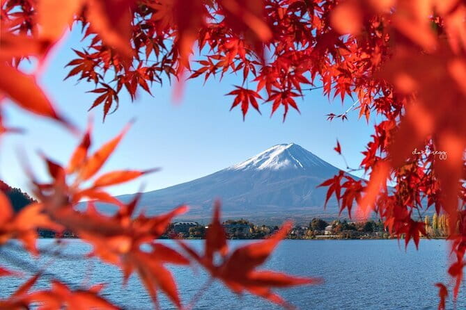 Mount Fuji Full Day Tour form Tokyo Lake Kawaguchi & Yamanaka - Flower season, pagoda angles, and shrine calm in the Arakura area