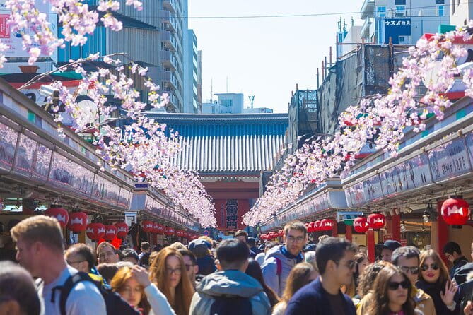 Mount Fuji Full Day Tour form Tokyo Lake Kawaguchi & Yamanaka - How to make the most of a short schedule (without feeling rushed)
