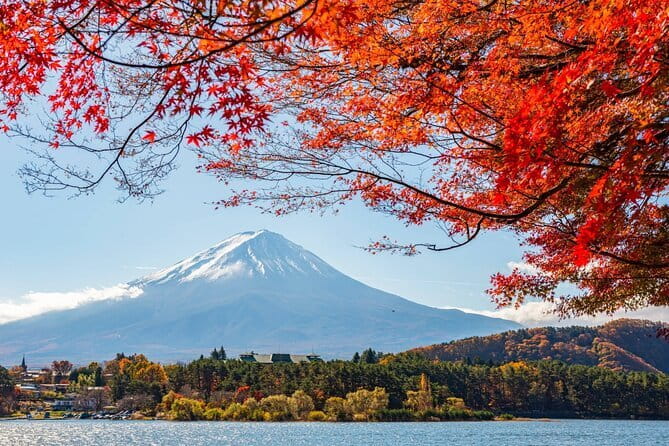 Mount Fuji Full Day Tour form Tokyo Lake Kawaguchi & Yamanaka - Price of $60.90: good value when transport and fees are handled