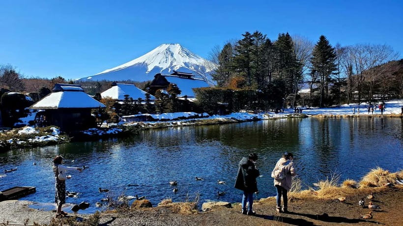 Mount Fuji & Hakone Full-Day Private Tour (Customizable) - Key highlights worth planning around