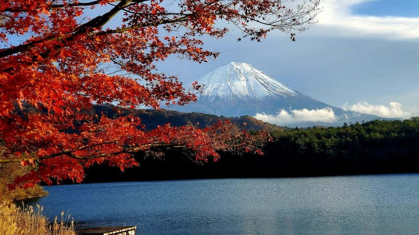 Mount Fuji & Hakone Full-Day Private Tour (Customizable) - A private 10-hour day between Fuji and Hakone (and why it works)