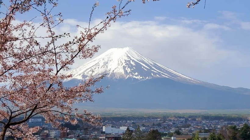 Mount Fuji & Hakone Full-Day Private Tour (Customizable) - Chureito Pagoda: the Fuji photo stop that sets the tone