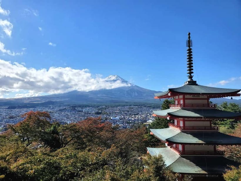 Mount Fuji & Hakone Full-Day Private Tour (Customizable) - Hakone Ropeway: panoramic views and the cloud-level feeling