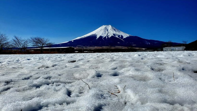 Mount Fuji & Hakone Full-Day Private Tour (Customizable) - Owakudani Valley: steaming vents and sulfur-realness
