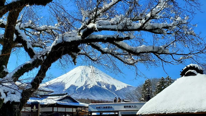 Mount Fuji & Hakone Full-Day Private Tour (Customizable) - Lake Ashi and the pirate ship cruise: the water payoff