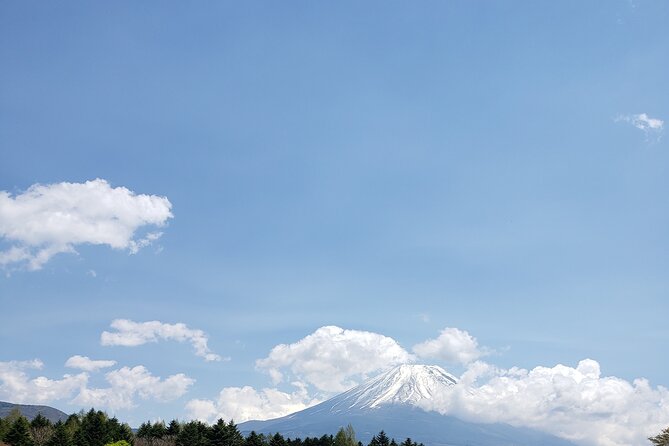 Mount Fuji, Hakone & Lakekawaguchiko Private Group Tour by Car. - Chureito Pagoda (Arakura Sengen): Stairs, Sweat, and the View
