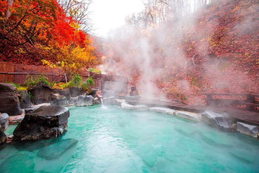 Mount Fuji - Hakone & Onsen Full Day Private Tour - Hakone Ropeway and Ōwakudani: Sulfur Steam and the Black Eggs