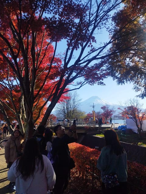 Mount Fuji - Hakone & Onsen Full Day Private Tour - Onsen Time: How to Make the Soak Actually Feel Like a Reward