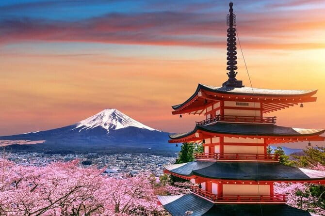 Mount Fuji & Lake Kawaguchiko Private Tour: Beyond the Ordinary - Private Tokyo Pickup: What You Gain by Traveling Just Your Group