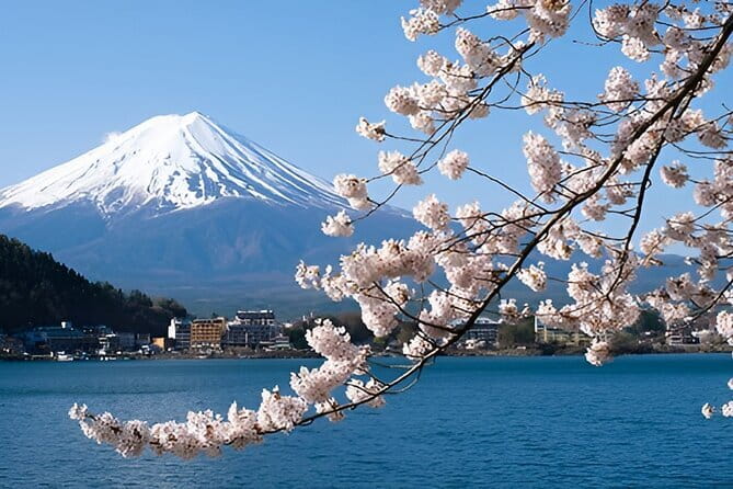 Mount Fuji & Lake Kawaguchiko Private Tour: Beyond the Ordinary - The Mount Fuji 5th Station Reality Check (and Why It Might Be Off-Limits)