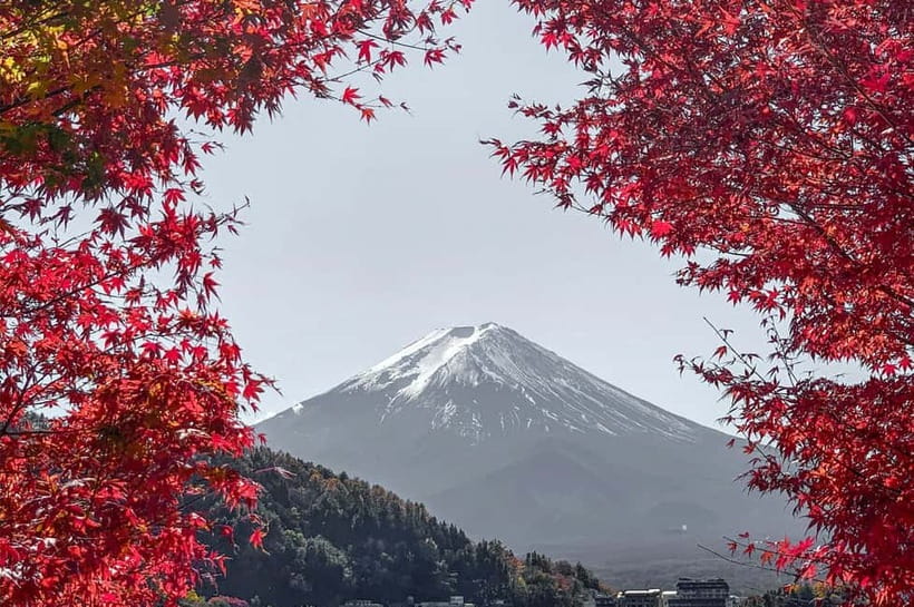 Mount Fuji,Lake Kawaguchiko Private Tour By Car With Pick Up - Mt. Fuji 5th Station: The High-Altitude Reality Check