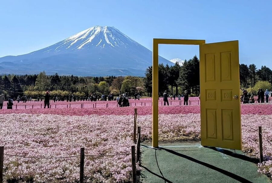 Mount Fuji,Lake Kawaguchiko Private Tour By Car With Pick Up - Lake Kawaguchiko + Oishi Park: The Reflection Factor