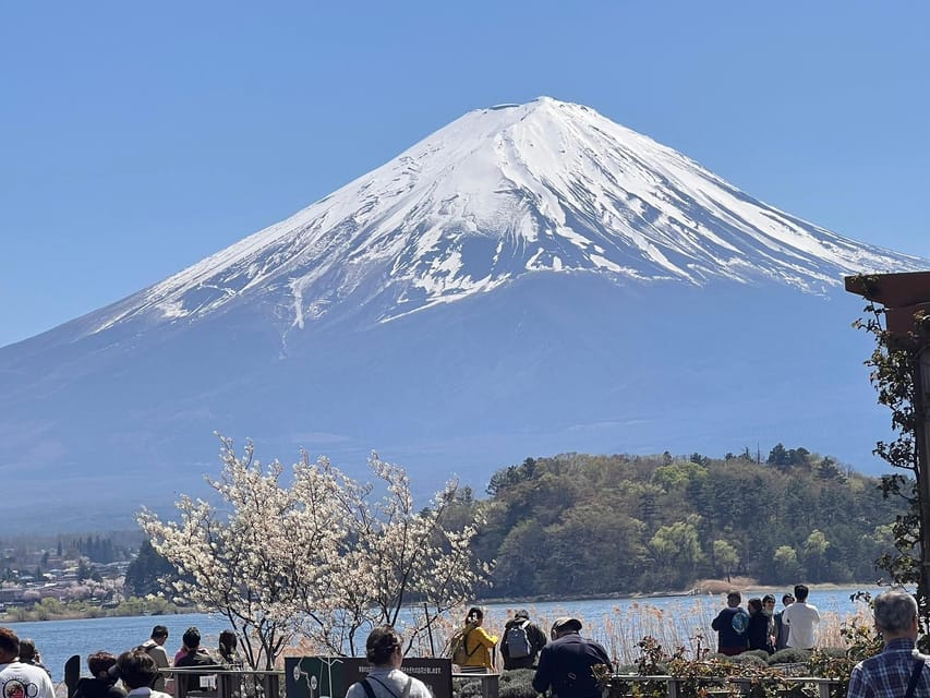 Mount Fuji,Lake Kawaguchiko Private Tour By Car With Pick Up - Fuji-Q Highland Walk: Timing It With Your Priorities