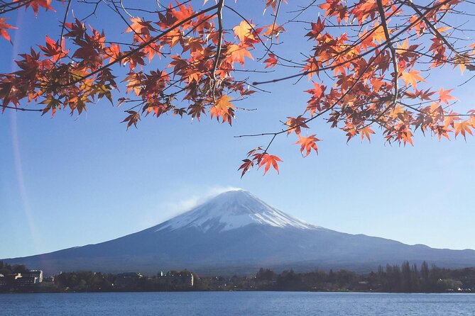 Mount Fuji (Mt. fuji) private tour by car with pickup from Tokyo - A private Mt. Fuji day that actually feels doable
