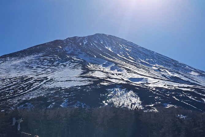 Mount Fuji (Mt. fuji) private tour by car with pickup from Tokyo - Lake Kawaguchiko: lunch base plus optional transport rides