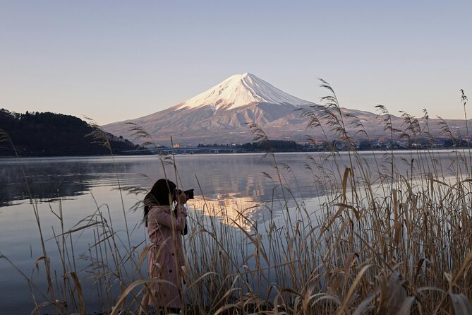 Mount Fuji (Mt. fuji) private tour by car with pickup from Tokyo - Oishi Park and Saiko Iyashi no Sato Nenba: easy walking, strong atmosphere