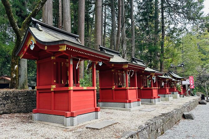 Mount Fuji One Day Private Customizable Tour With English Driver - Price and what $489 buys you (and what it doesn’t)
