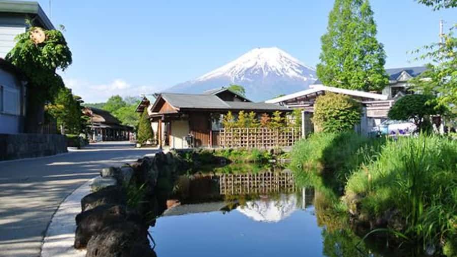 Mount Fuji One Day Private Tour With English Speaking Driver - A private Mt. Fuji day from Tokyo that feels like your plan