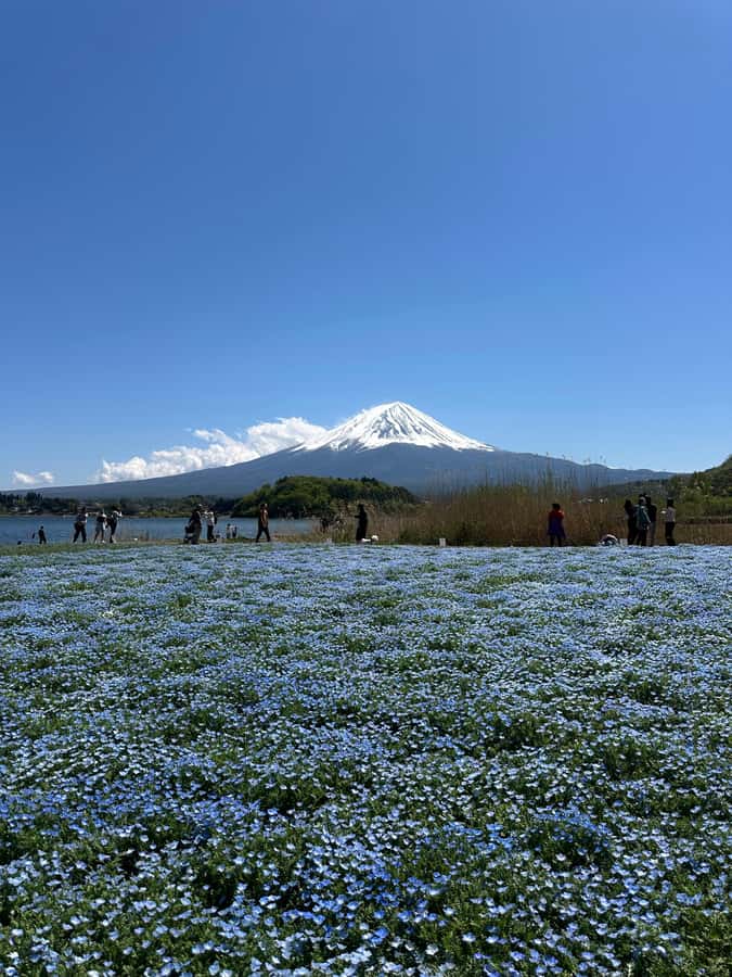 Mount Fuji One Day Private Tour With English Speaking Driver - What’s included vs not: plan your day like a grown-up