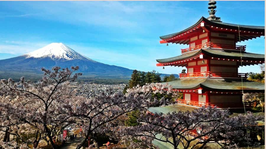Mount Fuji One Day Private Tour With English Speaking Driver - Price and value: $354 per group up to 6 (and why that can work)