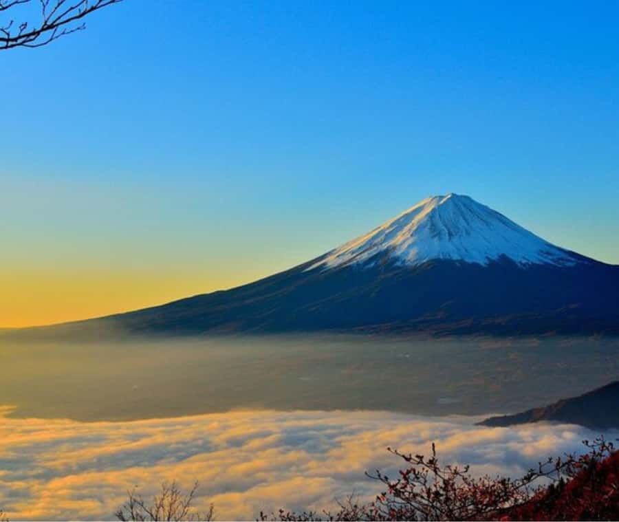 Mount Fuji Private Day Tour customized with English driver - Inside the Land Cruiser ZX Lc300: Comfort on a Long Fuji Day
