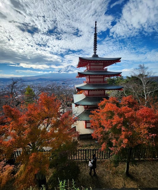 Mount Fuji Private day tour from Tokyo private & Customized - Quick hits you’ll care about