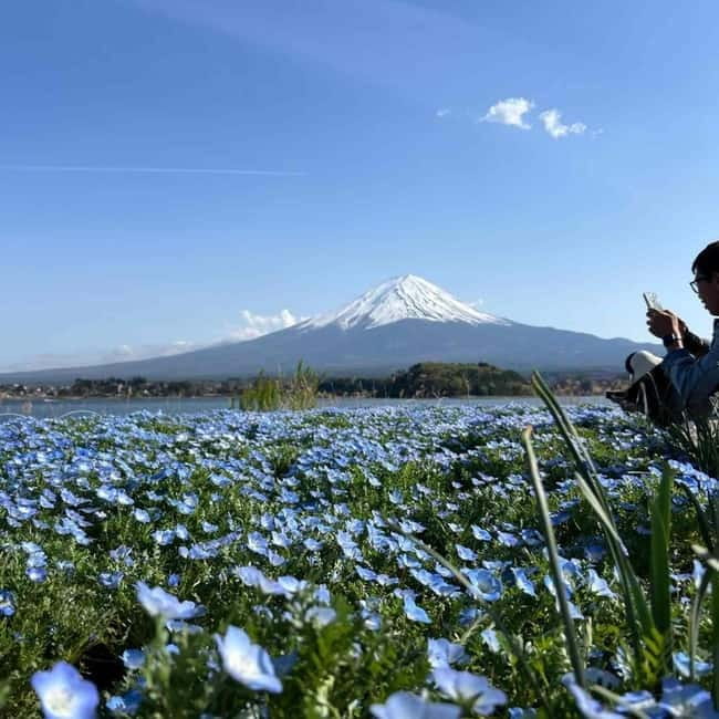 Mount Fuji Private day tour from Tokyo private & Customized - Door-to-door comfort from Tokyo (and why it matters)