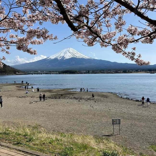 Mount Fuji Private day tour from Tokyo private & Customized - Chureito Pagoda: the Fuji photo you came for