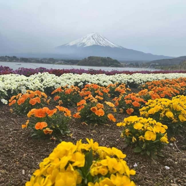 Mount Fuji Private day tour from Tokyo private & Customized - Oishi Park: a second angle on the lake and the mountain