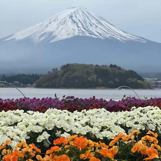 Mount Fuji Private day tour from Tokyo private & Customized - Kitaguchi-hongu Fuji Sengen Shrine and Fujiyoshida: culture between views