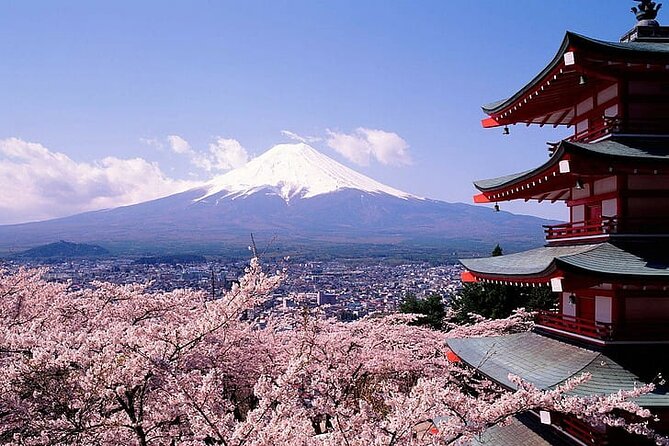 Mount Fuji Private Day Tour With English Speaking Driver - Private Mt. Fuji in a car, not a cattle-call