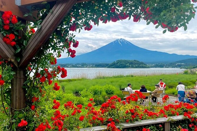 Mount Fuji Private Day Tour With English Speaking Driver - Mount Fuji stop: parking-lot drop-off and your one-hour window