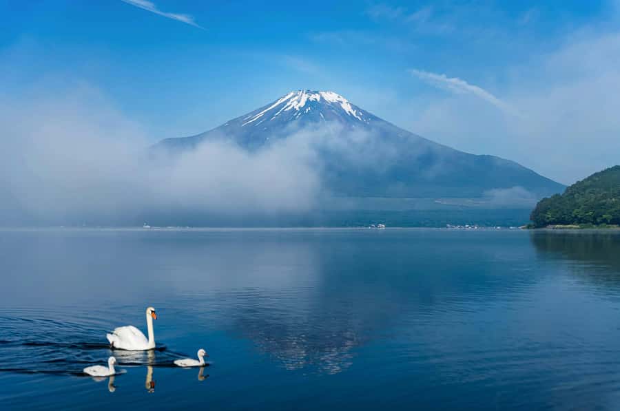 Mount Fuji Private Day Trip With Customizable Itinerary - Fuji Lakes and Ropeway Options: Why These Stops Matter (and How They Can Change)
