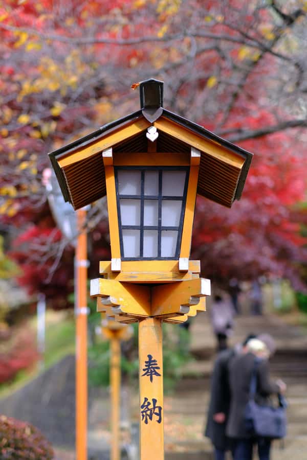 Mount Fuji Private Day Trip With Customizable Itinerary - Lake Ashi Shores: Getting Your Best Views Without Overplanning