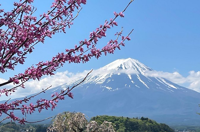 Mount Fuji Private Full Day Tour With Local Guide - Oishi Park: The View Stop That Mixes Nature and Color