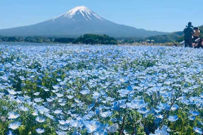 Mount Fuji Private Full Day Tour With Local Guide - Price and Value for a Group Up to Six