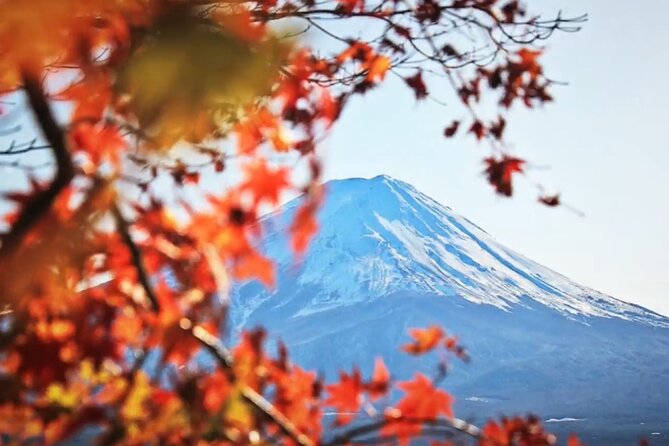Mount fuji Private Tour - Oishi Park: scenic views on the move