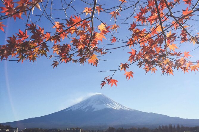 Mount Fuji Private Tour With English Speaking Driver - Getting picked up in Tokyo and staying on schedule