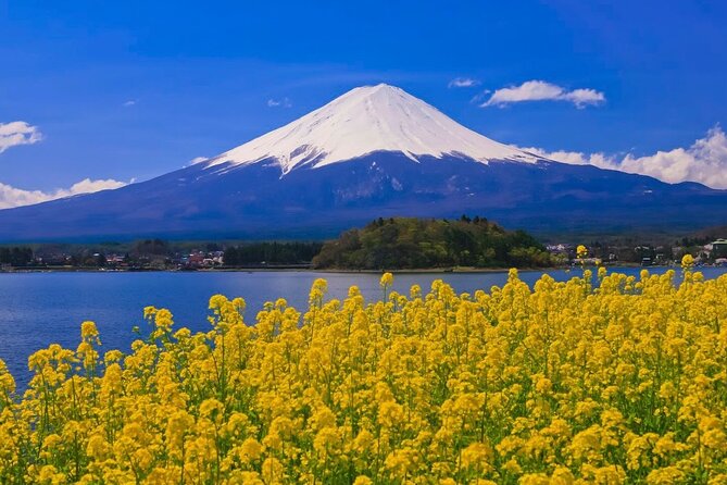 Mount fuji Private Tour - Lake Kawaguchiko: your Fuji photo moment, guided