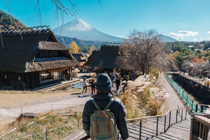 Mount Fuji Sightseeing Private tour w English speaking chauffeur - Price and what you’re really buying (besides the drive)