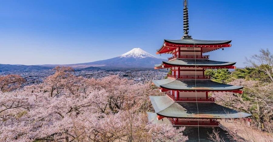 Mount Fuji Trip with English speaking guide ( customizable) - Price and value for a group of up to 6