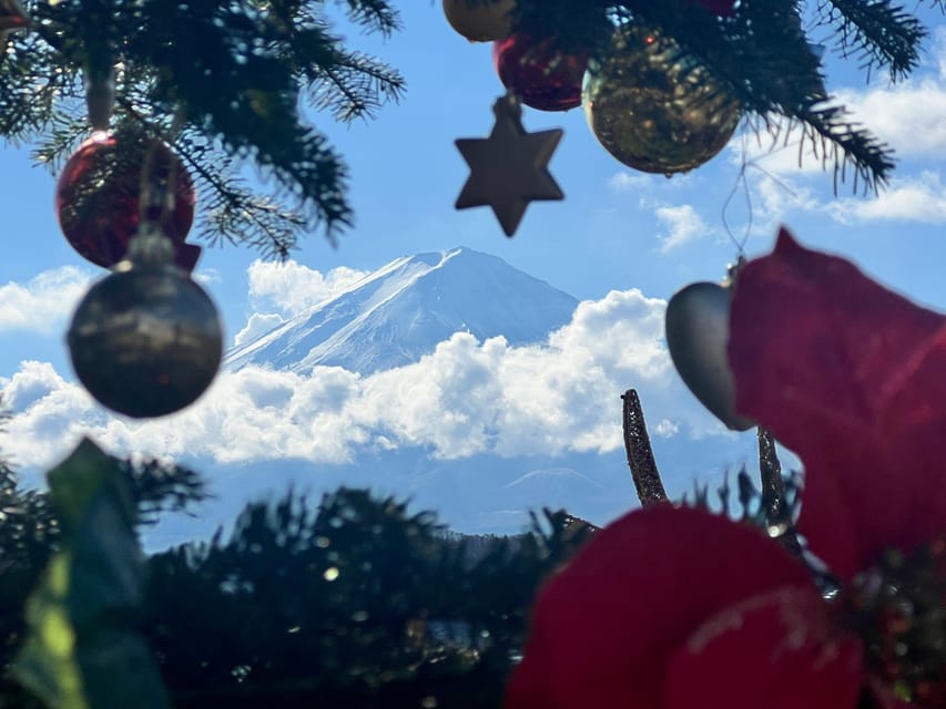 Mount Fuji Trip with English speaking guide ( customizable) - Starting in Tokyo: pickup, timing, and what comfort really means