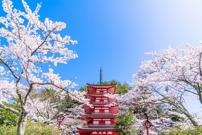 Mt. Fuji 5th, Oshino Hakkai, Onsen Full-Day Trip From Tokyo - Price and Value: Is $56.14 Worth It?