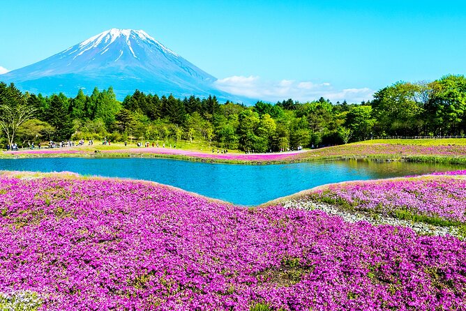 Mt. Fuji 5th, Oshino Hakkai, Onsen Full-Day Trip From Tokyo - Photo-Friendly Timing: Where the Stops Actually Help