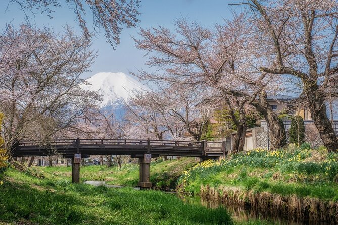 Mt. Fuji 5th Station, Oshino Hakkai and Hot Spring Day Trip - The 11-hour reality: why this tour can feel hectic (and how to handle it)