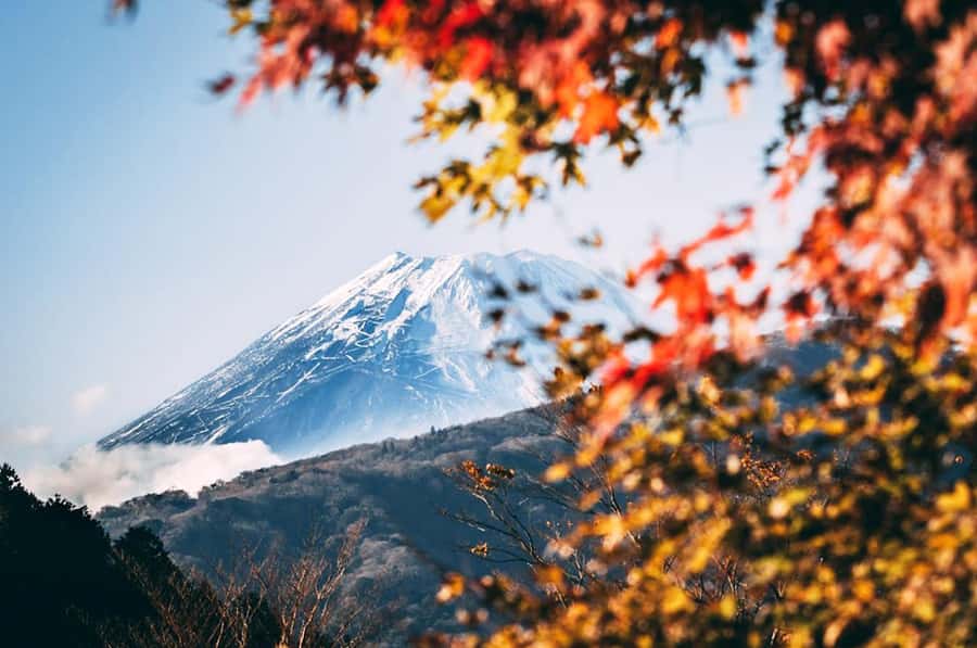 Mt. Fuji 6 Attractions Tour: Lake Kawaguchi, Oshino Hakkai - What This Day Trip Gets Right (And Why It’s Worth $50)