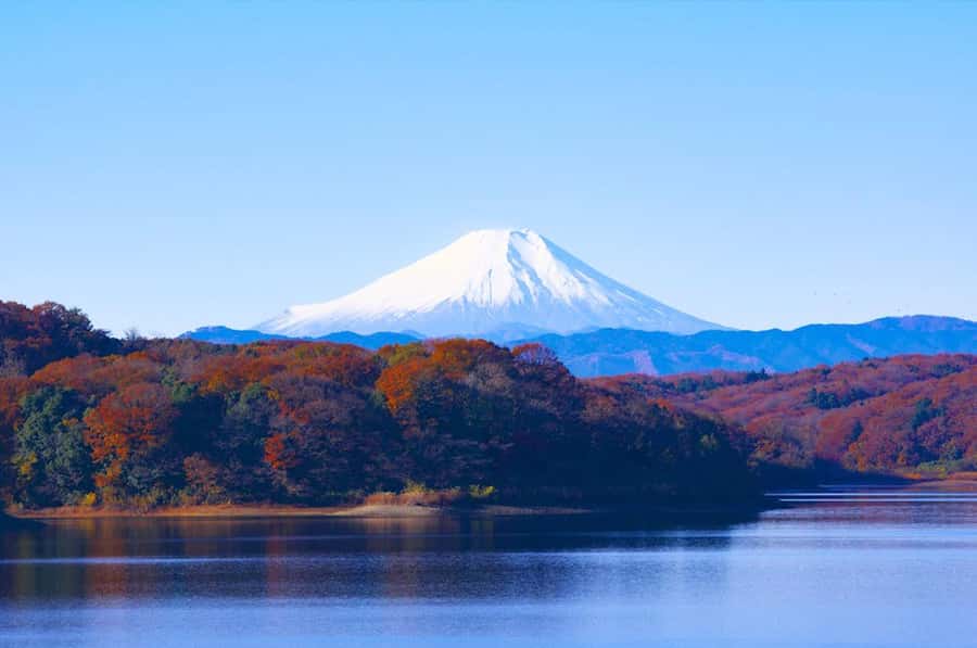 Mt. Fuji 6 Attractions Tour: Lake Kawaguchi, Oshino Hakkai - Hikawa Clock Shop & Honcho Street: A Showa-Era Walk With a Mt. Fuji Twist