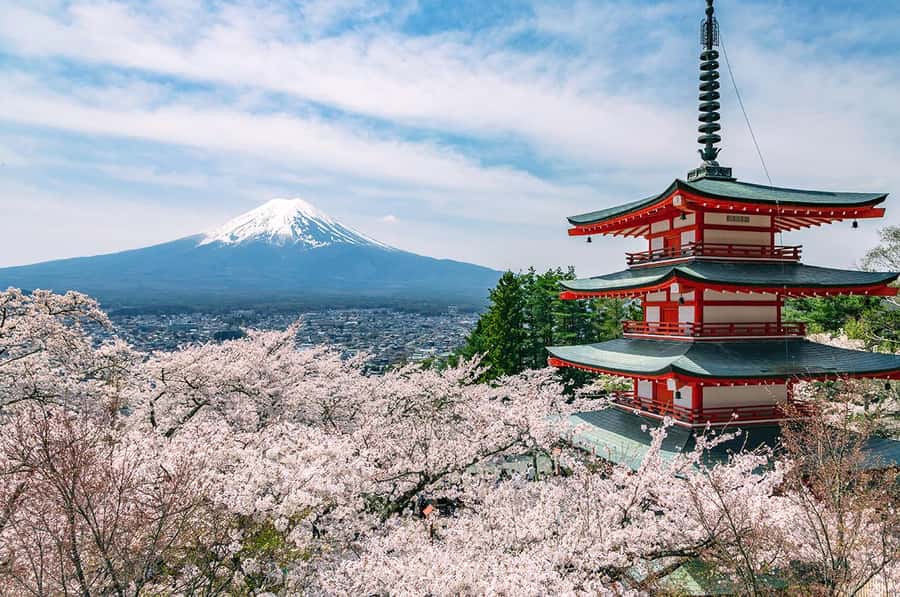 Mt. Fuji 6 Attractions Tour: Lake Kawaguchi, Oshino Hakkai - Oshino Hakkai: Eight Springs That Turn Snow Into Water